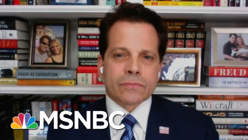 Scaramucci: Trump 'Will Never Write A Personal Check' For Campaign | MTP Daily | MSNBC