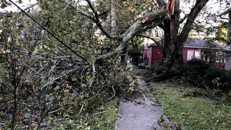 Hurricane Zeta: South assesses damage left by storm