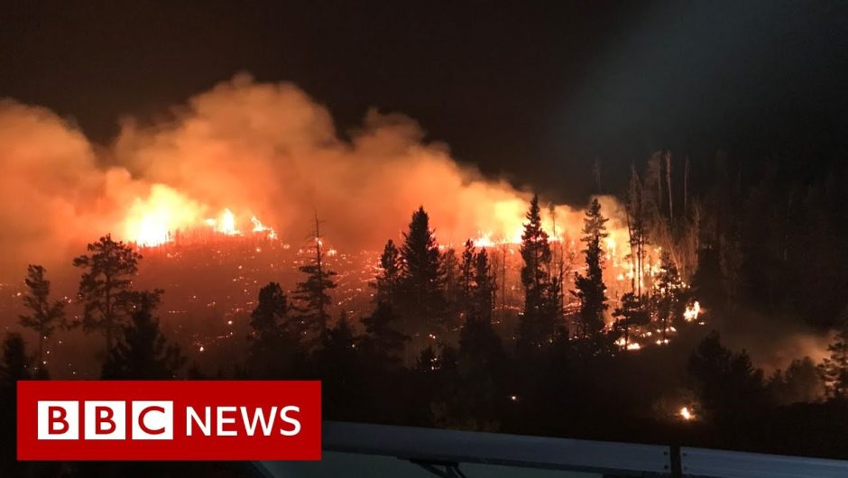 Colorado battles a record-breaking wildfire – BBC News