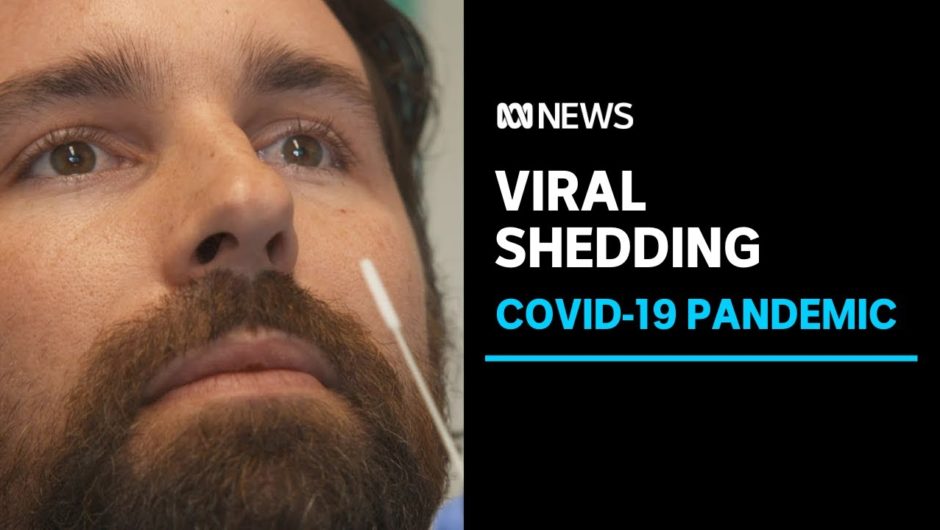 Can you get reinfected with COVID-19 or are is a second positive test 'viral shedding'? | ABC News