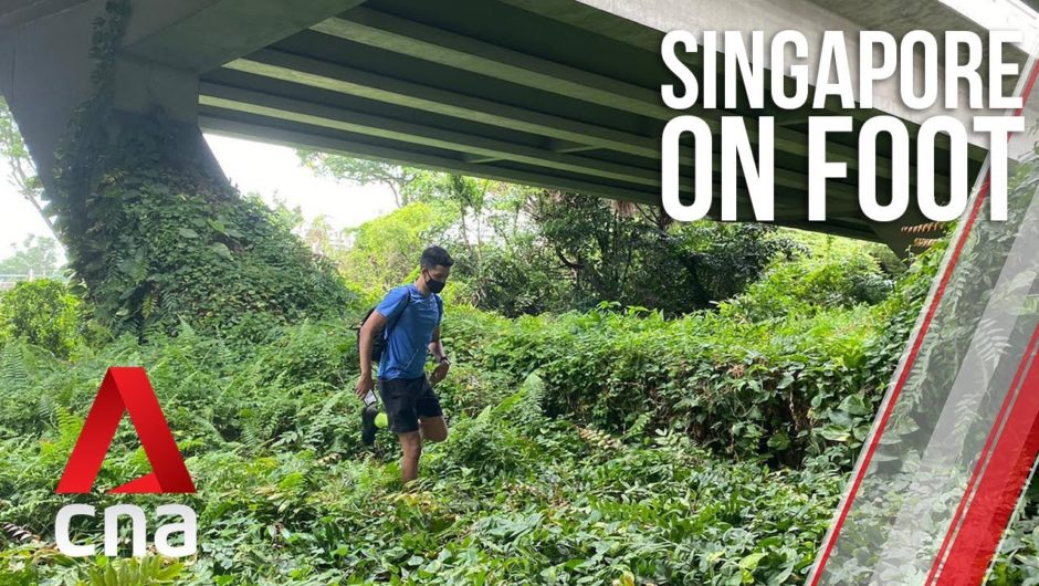 Singapore on Foot: Setting off on a 110km journey over 5 days