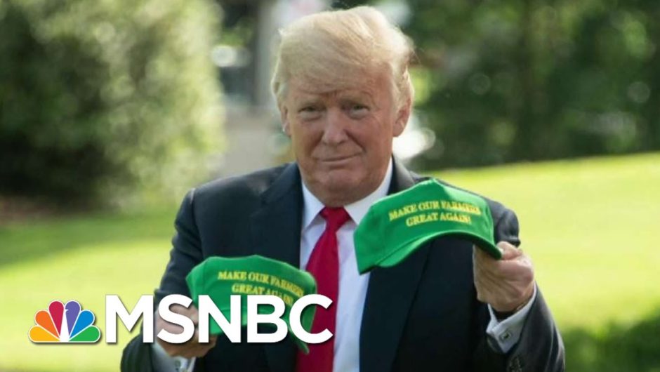 Chris Hayes On Trump’s ‘Massive Payout’ To Farmers And The Hypocrisy Of The GOP | All In | MSNBC