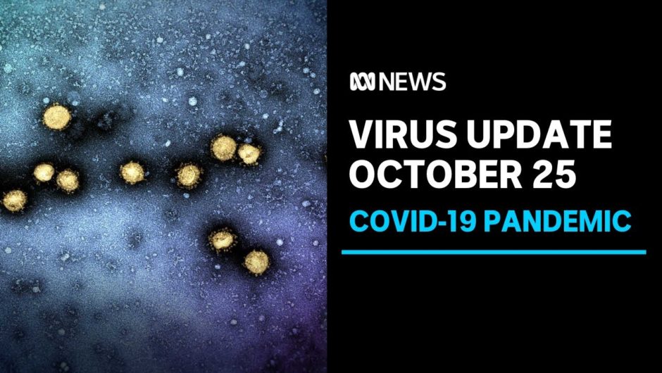 Coronavirus update, Oct 25: Cluster concerns delay easing of restriction in Melbourne | ABC News