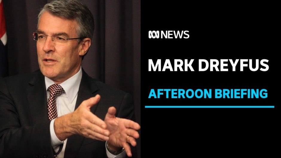 Mark Dreyfus confident in the 'resolve' of Victorian businesses | ABC NEWS