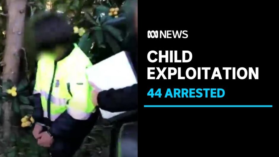 AFP arrests 44 men over 'abhorrent' child abuse material shared online | ABC News