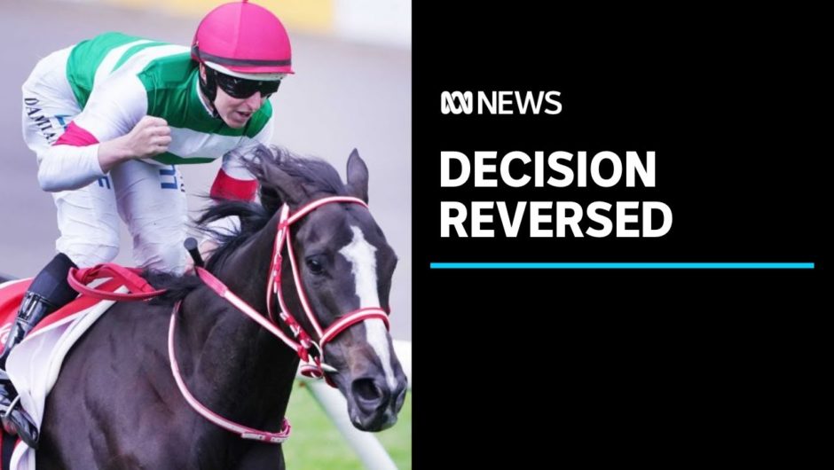 Victorian Premier Daniel Andrews concedes plan to allow extras at Cox Plate was 'wrong' | ABC News