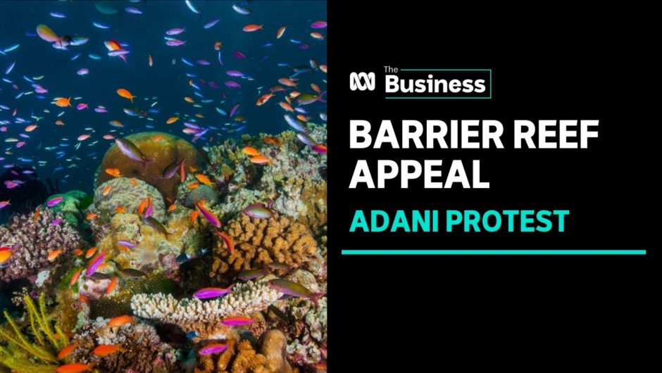 Teenage environmentalists stage last-ditch protest against Adani mine | ABC News