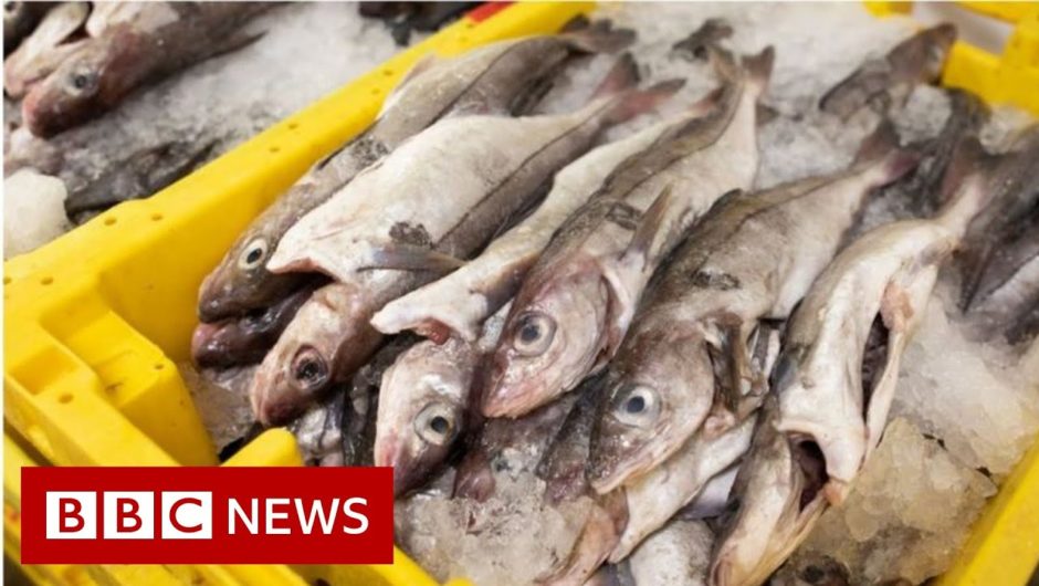 Brexit: Why is fishing a stumbling block in the trade talks? – BBC News