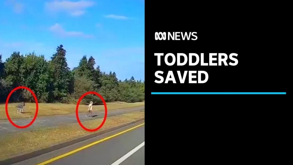 Dashcam captures moment toddlers run towards busy road after escaping childcare centre | ABC News