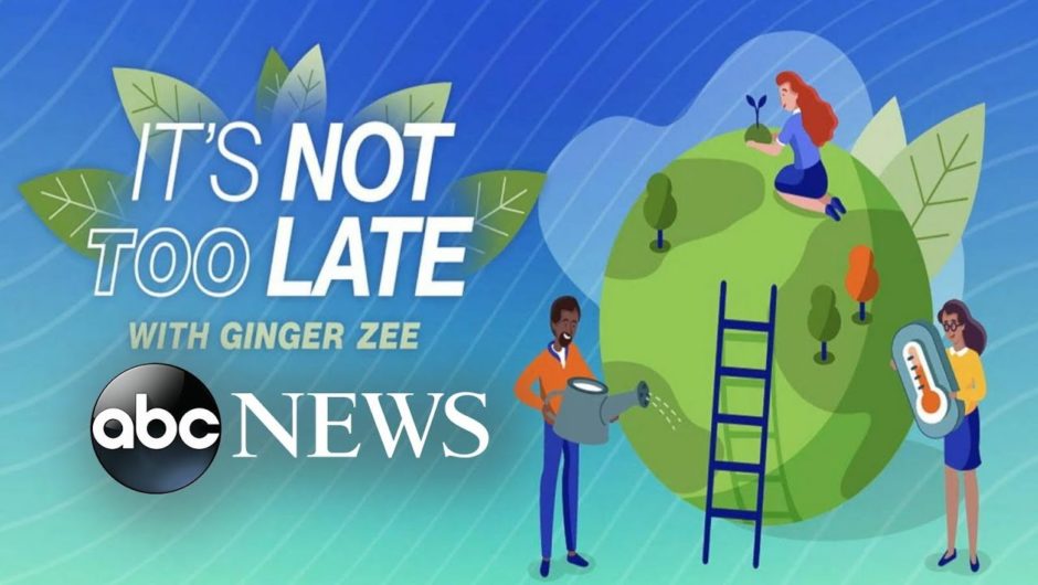 'It’s Not Too Late' with Ginger Zee: Climate change experts demand action
