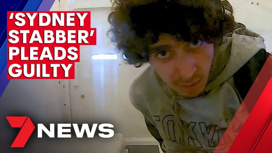 Sydney CBD stabber Mert Ney pleads guilty to murder | 7NEWS