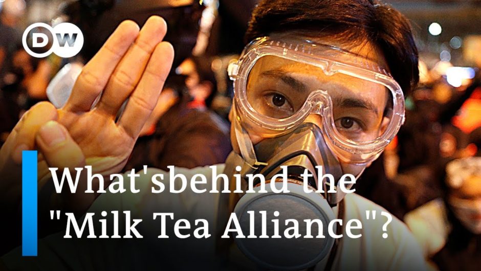 "Milk Tea Alliance": How Thai protesters have learned from Hong Kongers | DW News