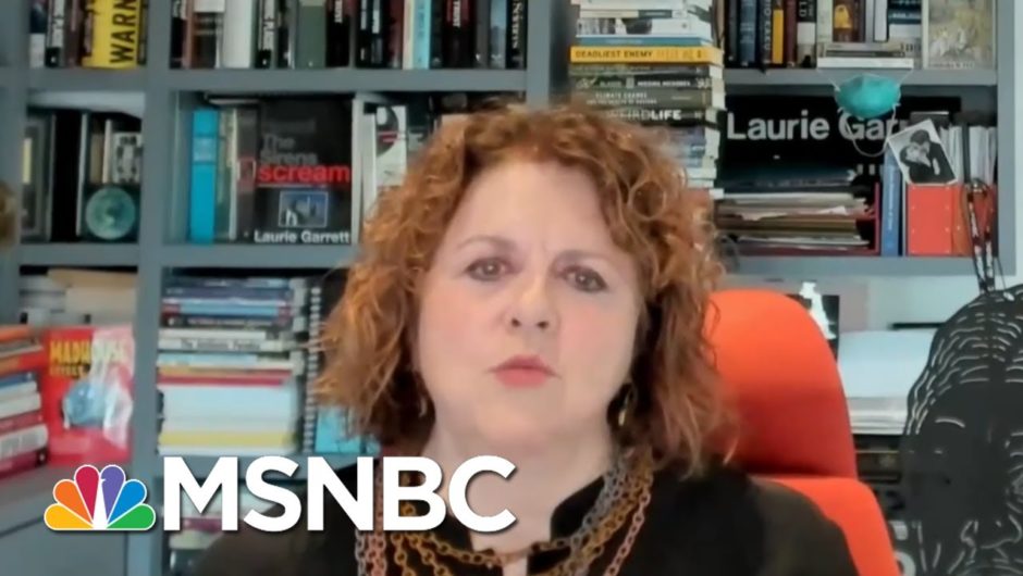 Laurie Garrett: The Amount Of Virus In The U.S. Is So Large | Deadline | MSNBC