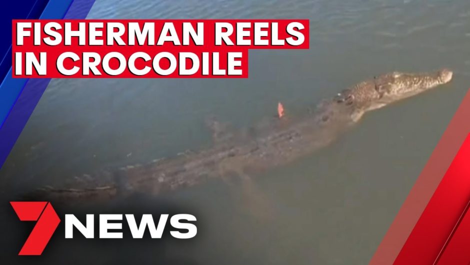 Fisherman's surprise as he hooks crocodile on fishing line | 7NEWS