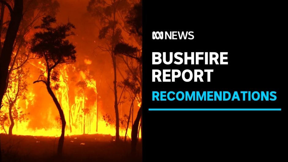 Bushfire report recommends national state of emergency, aerial firefighting fleet | ABC News