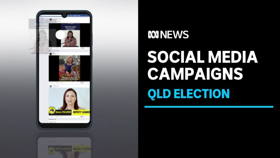 Which party spent the most on social media ads in Queensland's election? | ABC News