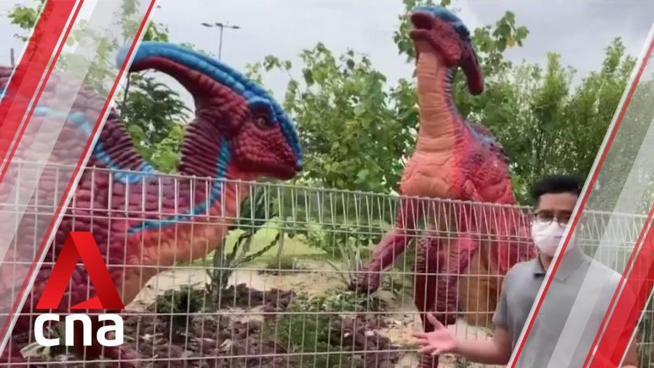 Nettings may be set up at Changi Jurassic Mile following golf ball incident