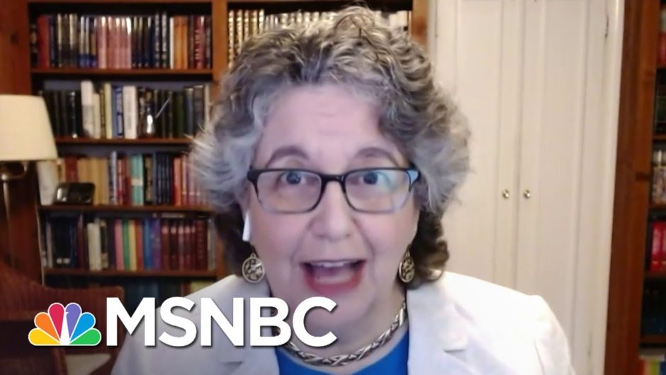 FEC Commissioner: America’s Election System Is Still ‘In The Horse and Buggy Age’ | MSNBC