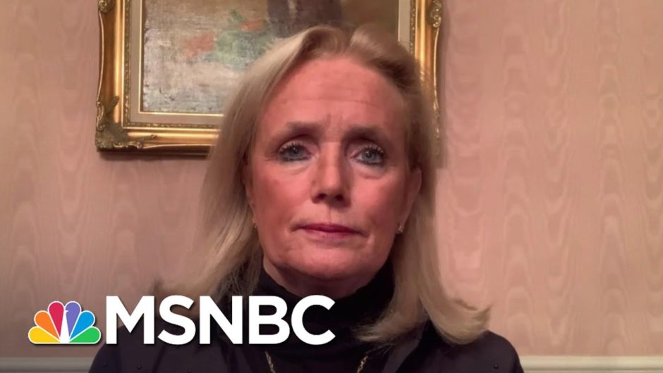 Rep. Dingell On Democrats’ Chances To Win Back Michigan | The Last Word | MSNBC