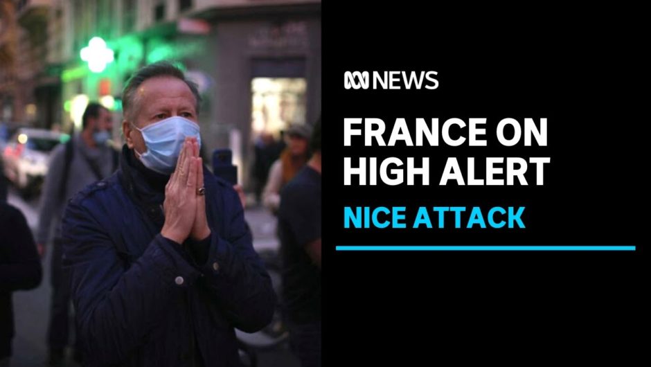 Second suspect arrested in connection to Nice attack | ABC News