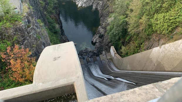 3 Metro Vancouver employees fired in connection with deadly Cleveland Dam water surge