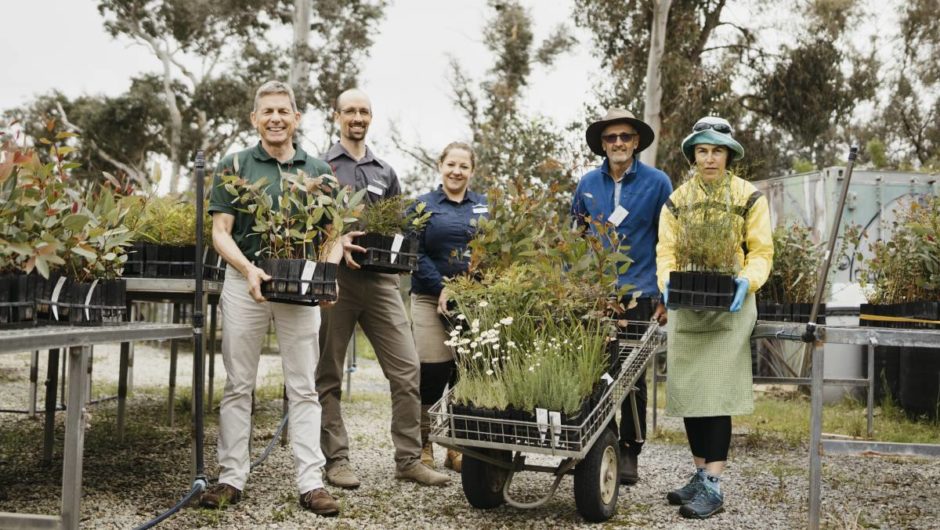 Aranda nursery to grow 160,000 trees to aid bushfire recovery | The Canberra Times