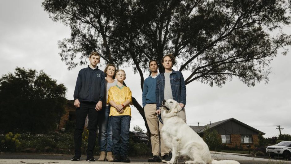 Residents want this Richardson street tree gone, but the ACT government says no | The Canberra Times