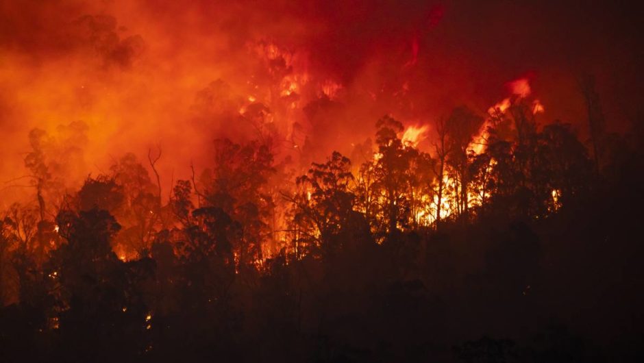 Bushfire Royal Commission: More collaboration needed to protect environment | The Canberra Times