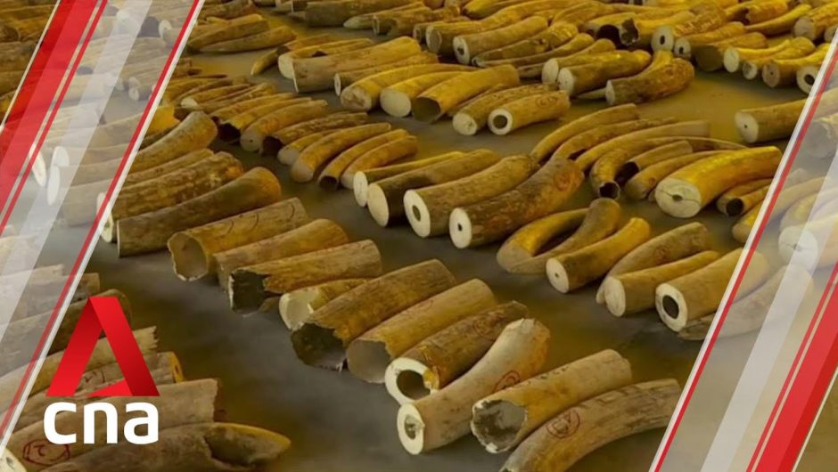 Home Affairs Ministry awards 189 personnel, agencies and partners in recognition of their efforts