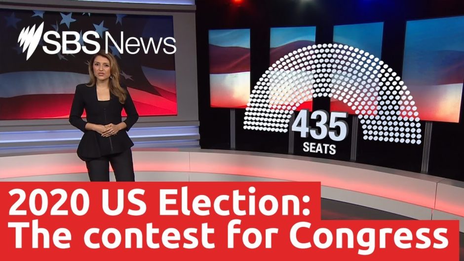 US Election 2020: The contest for Congress I SBS News