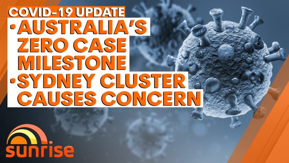 COVID-19 Update: Australia's zero-case milestone; concerns over Sydney cluster | 7NEWS