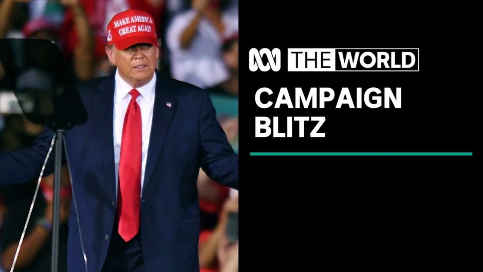 Trump and Biden zig-zag the US as election draws near | The World