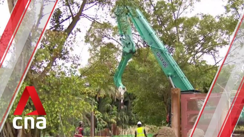 10 work-related fatalities from June to October: MOM