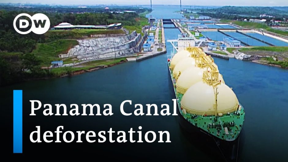 Panama: Saving forests to save water | Global Ideas