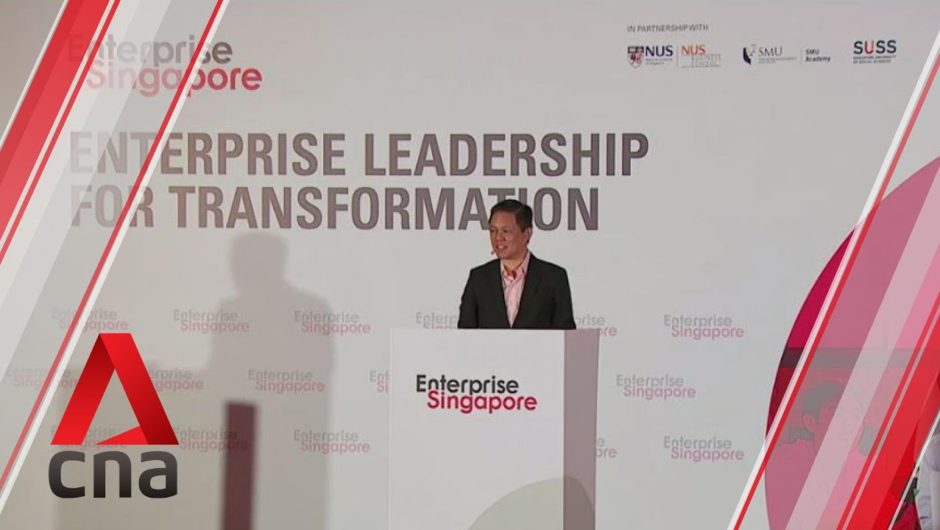 New initiative to teach SME business leaders how to break new ground