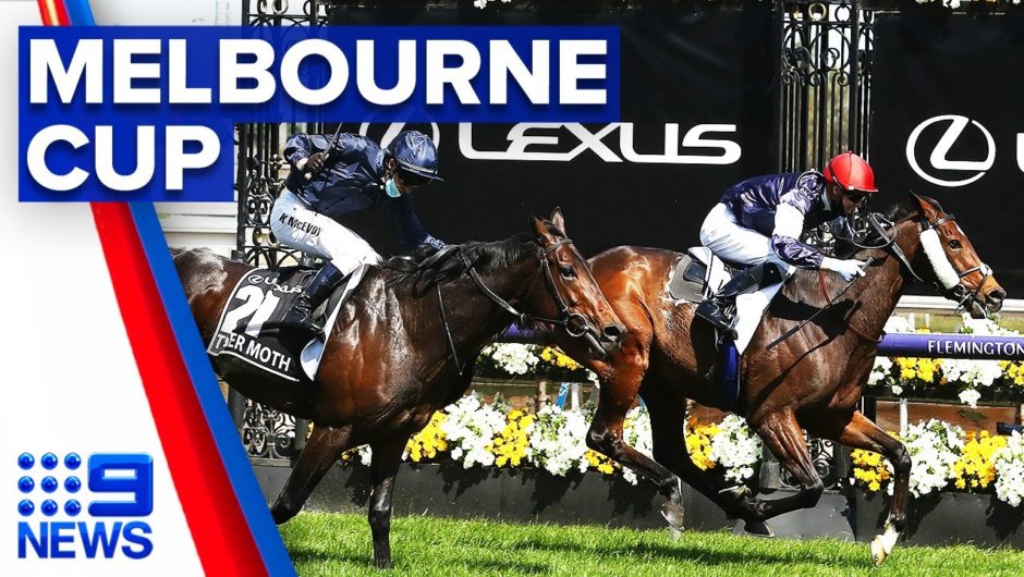Twilight Payment wins the Melbourne Cup | 9 News Australia