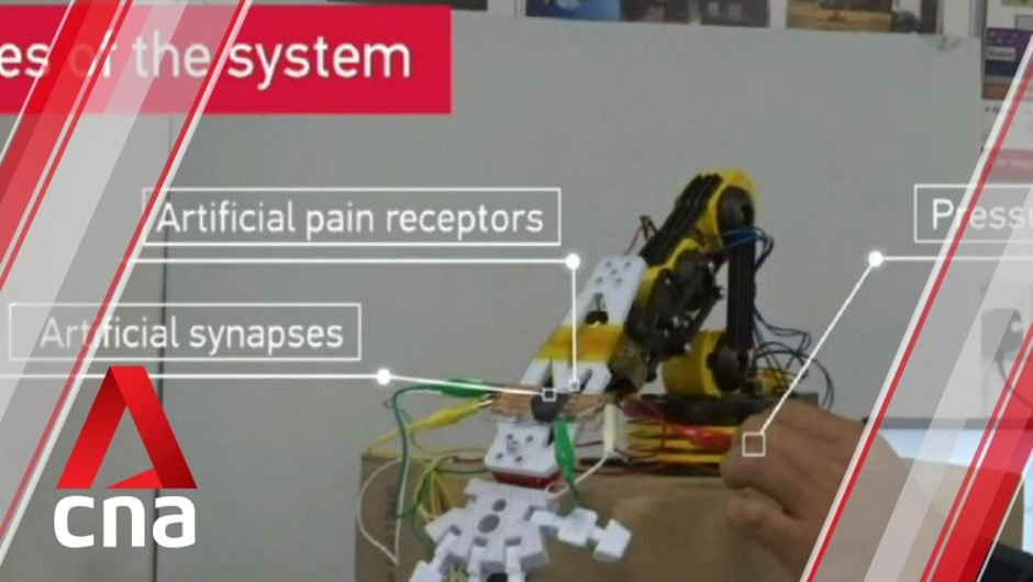 NTU scientists develop way for robots to recognise pain and self-repair