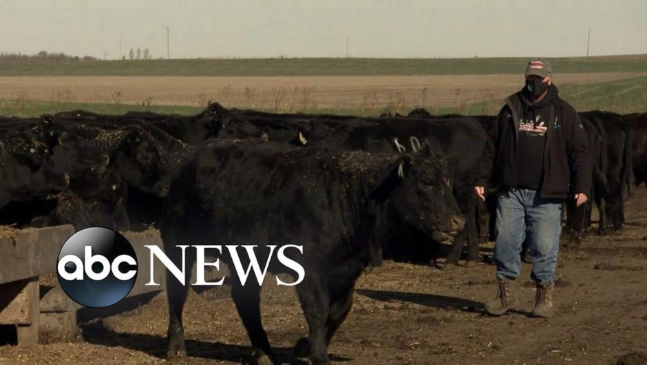 How Iowa farmers are viewing the 2020 race