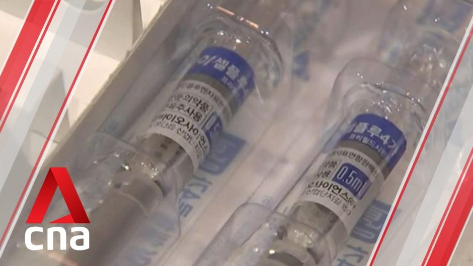 South Korea's medical association says flu vaccine programme should be suspended