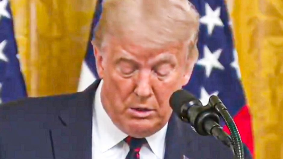 Trump Files Legal Challenges To Stop Democracy