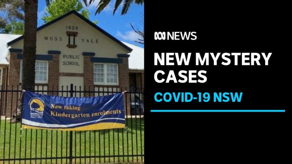 Four new local cases of COVID-19 in NSW Southern Highlands, Tasmanian border opens to NSW | ABC News