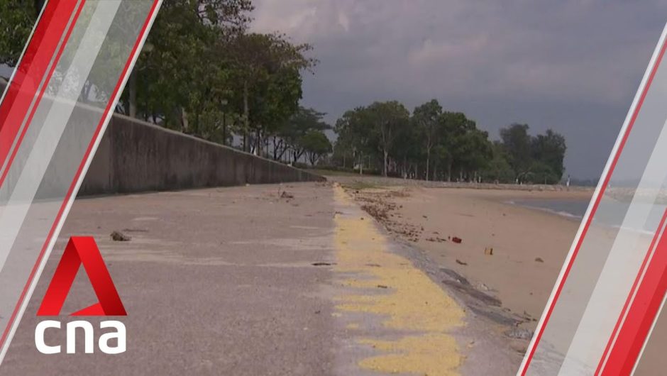 S$2.7m in grants awarded to 2 projects under National Sea Level Programme