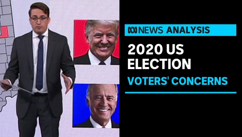 Casey Briggs looks at what issues are influencing votes in the 2020 US election | ABC News