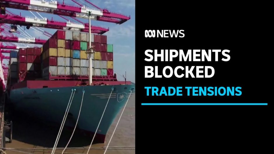 Government demands answers from China over trade delays, potential wine tariffs | ABC News