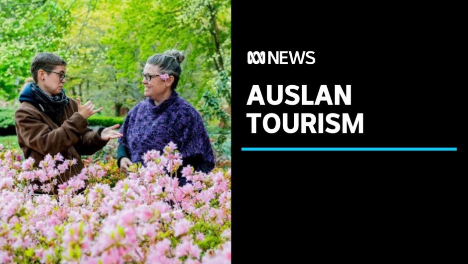 Auslan signing helps create a new way of understanding home for tourists | ABC News