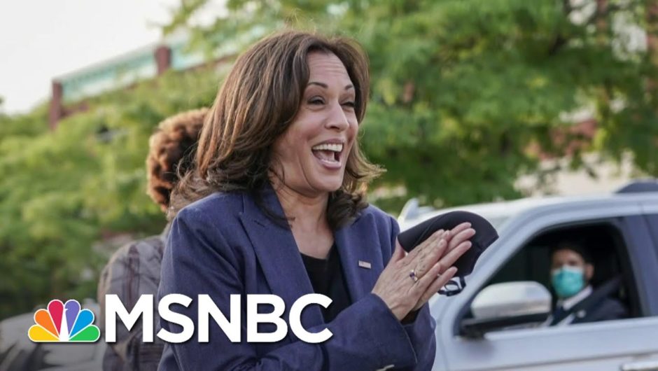 Yamiche Alcindor: Kamala Harris Has ‘Solidified Her Place In History’ | The Last Word | MSNBC