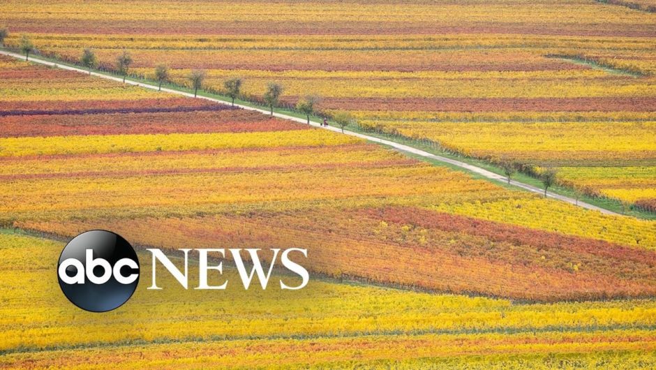 Fall, fashion and baby rhino: World in Photos, Oct. 26