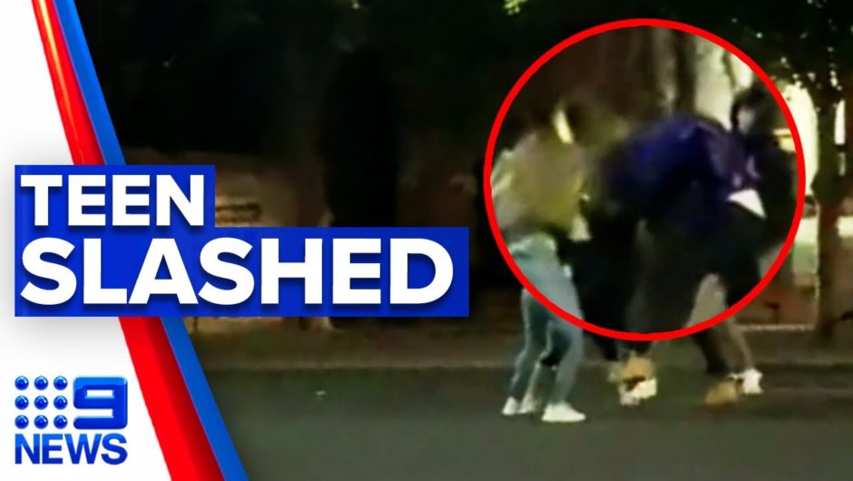 Teenager slashed across face in brawl | 9 News Australia