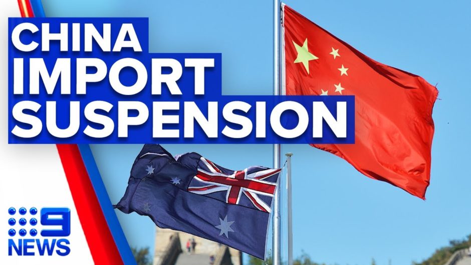 Australian products unwanted by China in import suspension | 9 News Australia