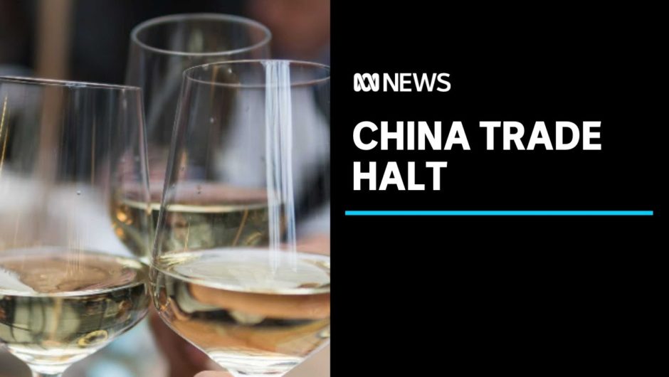 Why are Australia's exports to China being suspended? | ABC News